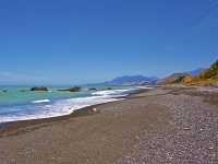 Coast_line_at_Kekerengu;Kaikoura_Coast;Kaikoura;bush;native_forest;seaward_Kaiko