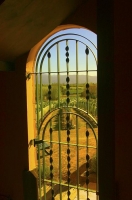 Vineyards;Marleborough;Wairau_Plains;vines;vintners;grapes;Wrought_Iron_Gate