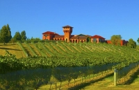 Vineyards;Marleborough;Wairau_Plains;vines;vintners;grapes;Highfield_Estate