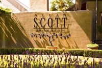 Vineyards;Marleborough;Wairau_Plains;vines;vintners;grapes;Allen_Scott