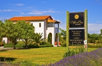 Vineyards;Marleborough;Wairau_Plains;vines;vintners;grapes;Clifford_Bay_Estate