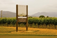 Vineyards;Marleborough;Wairau_Plains;vines;vintners;grapes;Cloudy_Bay