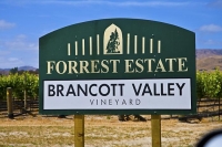 Vineyards;Marleborough;Wairau_Plains;vines;vintners;grapes;Forrest_Estate