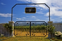 Vineyards;Marleborough;Wairau_Plains;vines;vintners;grapes;Gravitas