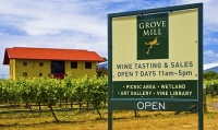 Vineyards;Marleborough;Wairau_Plains;vines;vintners;grapes;Grove_Mill