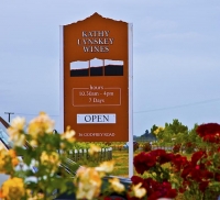 Vineyards;Marleborough;Wairau_Plains;vines;vintners;grapes;Kathy_Lynskey_Wines