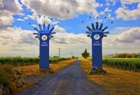 Vineyards;Marleborough;Wairau_Plains;vines;vintners;grapes;Lake_Chalice