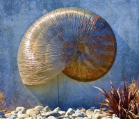 Vineyards;Marlborough;Wairau_Plains;vines;vintners;grapes;Nautilus_Estate_of_Mar