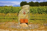 Vineyards;Marlborough;Wairau_Plains;vines;vintners;grapes;Serasin