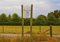 Vineyards;Marlborough;Wairau_Plains;vines;vintners;grapes;Stream_Estate