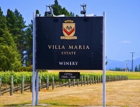Vineyards;Marlborough;Wairau_Plains;vines;vintners;grapes;Villa_Maria