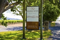 Vineyards;Marlborough;Wairau_Plains;vines;vintners;grapes;Wairau_River_Estate