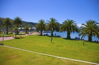 Picton;Marlborough_Sounds;Marlborough;Victoria_Reserve;palm_trees;Picton_Harbour