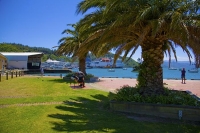Picton;Marlborough_Sounds;Marlborough;bush;native_forrest;Interislander;prepares