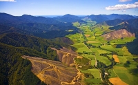 Aerial;Rai_Valley;Pelorus_River;Marlborough;Rai_Valley_Township;bush;native_forr