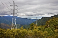 Maungatapu_Track;bush;native_forrest;forestry;Maitai_Saddle;Maitai_Saddle_route;