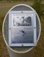 Maungatapu_Track;bush;native_forrest;forestry;Maitai_Saddle;Maitai_Saddle_route;