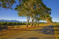 Waihopai_Domes;Marlborough;gum_trees;vineyards;surveillance_domes;domes;listenin