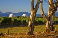Waihopai_Domes;Marlborough;gum_trees;vineyards;surveillance_domes;domes;listenin