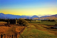 Waihopai_Domes;Marlborough;gum_trees;vineyards;surveillance_domes;domes;listenin