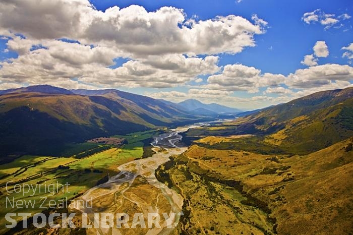 Honda nz wairau road #7
