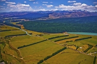 Aerial;Wairau_Valley;Marleborough;bush;native_forrest;irrigation_canal;irrigatio
