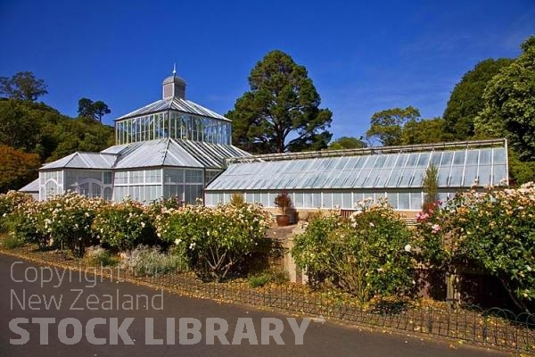 Dunedin;Otago;university city;university;harbour;golden sands;gothic buildings;Heritage Museum;law courts;Station;Train Station;Dunedin Botanical Gardens;Glass House;roses