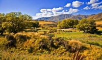 Hyde;Otago;Rail_trail;Kakanui_Mountains;native_grasses;tussock;willows