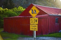 Oamaru;harbour;Heritage_Museum;law_courts;Station;Train_Station;neo_classical_bu