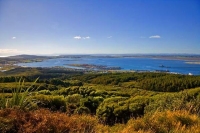 Bluff;Southland;Bluff_harbour;Lookout;freighters;fishing_fleet