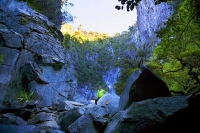 Harwoods_Hole;Tasman_Bay;native_forrest;forest_track;tramping_track;trampers;lic