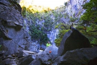 Harwoods_Hole;Tasman_Bay;native_forrest;forest_track;tramping_track;trampers;lic