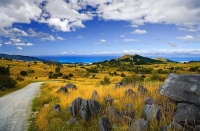 Harwoods_Hole;Tasman_Bay;native_forrest;forest_track;tramping_track;trampers;lic