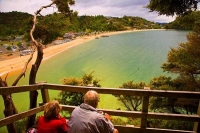 Kaiteritiri;Tasman_Bay;native_forrest;forest_track;tramping_track;trampers;golde