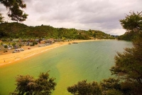 Kaiteritiri;Tasman_Bay;native_forrest;forest_track;tramping_track;trampers;golde