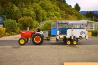 Marahau;Tasman_Bay;native_forrest;forest_track;tramping_track;trampers;golden_sa