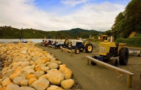 Marahau;Tasman_Bay;native_forrest;forest_track;tramping_track;trampers;golden_sa