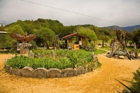 Marahau;Tasman_Bay;native_forrest;forest_track;tramping_track;trampers;golden_sa