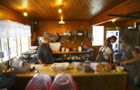 Nelson;Tasman_Bay;Founders_Park;historic_Buildings;Museum;Maritime_Museum;Windmi