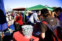 Nelson;Tasman_Bay;Market;stalls_plants;flowers;toys;wood_turning;crowds;shoppers
