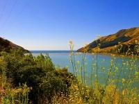 Cable_Bay;Peppin_Island;Tasman_Bay;sand_dunes;sandy_beaches;rocky_shorelines;bea