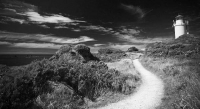 Cape_Foulwind;West_Coast;Lighthouse;cliffs;bluffs;Lighthouse;BW;pathway