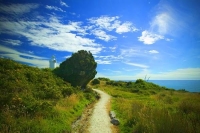 Cape_Foulwind;West_Coast;Lighthouse;cliffs;bluffs;Lighthouse