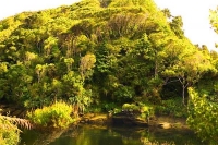 Cape_Foulwind;West_Coast;cliffs;bluffs;Nile_River