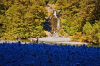 Haast_Pass_Route;West_Coast;State_Highway_6;mountains;valleys;rivers;Fantail_Fal