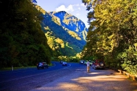 Haast_Pass_Route;West_Coast;State_Highway_6;mountains;valleys;rivers;Thunder_Fal
