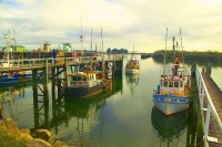 Westport;West_Coast;harbour;Buller_river;Tasman_Sea;fishing_port;fishing_boat;Fi