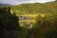 Lake_Waikaremoana;Hawkes_Bay;bluffs;cliffs;rocky_shorelines;bush;mountains;bush;