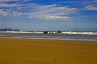 Hawkes_Bay_Coast;Porangahau;bush;native_forrest;golden_sands;bluffs;River;cliffs