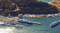 Picton;Marlborough_Sounds;Marlborough;bush;native_forrest;hills;mountains;Ferrie